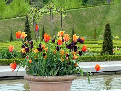 Frederiksborg Castle Gardens