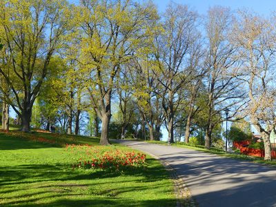 Vitabergsparken