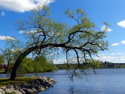 Spring in Sigtuna