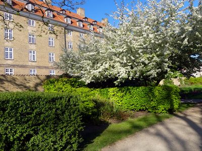 Spring in Copenhagen