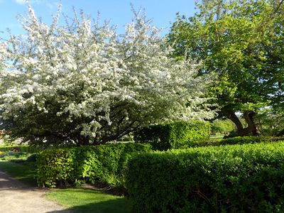 Spring in Copenhagen