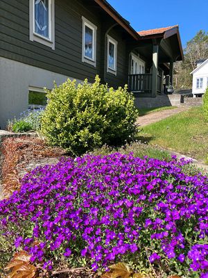 Sigtuna