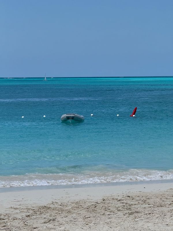 IMG_7072.jpg