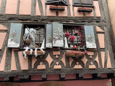 IMG_4383.jpeg