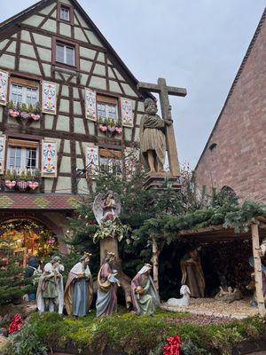 IMG_4444.jpeg