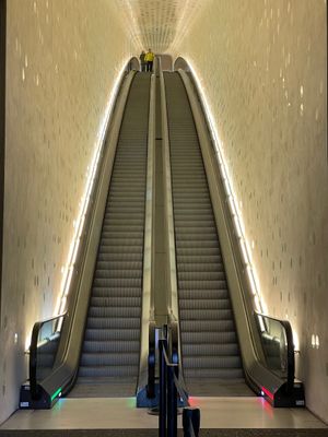 IMG_5037.jpeg
