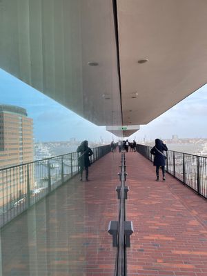 IMG_5053.jpeg