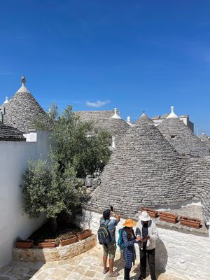 IMG_6351.jpeg