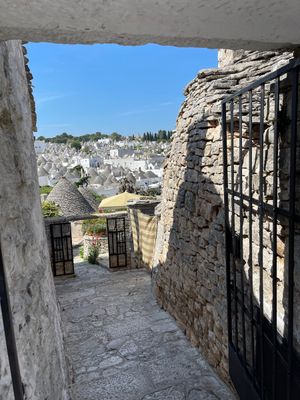 IMG_6359.jpeg