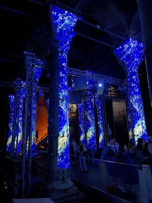IMG_1136.jpg