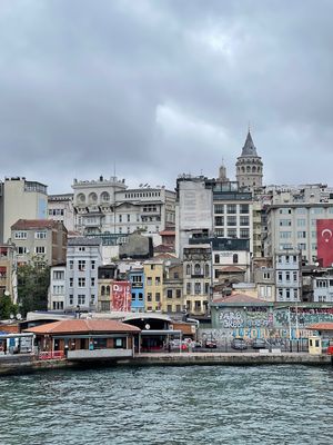 IMG_1162.jpg