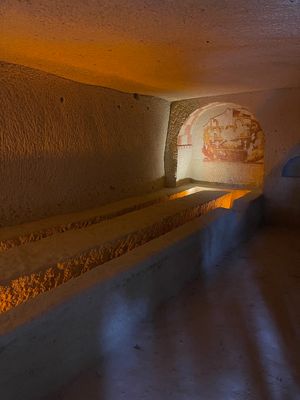 IMG_1236.jpg