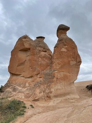 IMG_1295.jpg