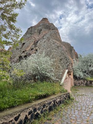 IMG_1361.jpg