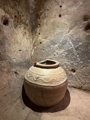IMG_1367.jpg