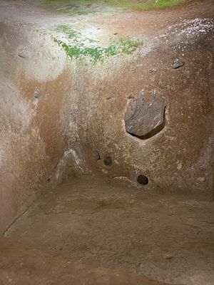 IMG_1379.jpg