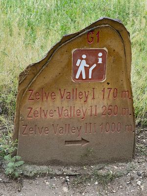 IMG_1395.jpg