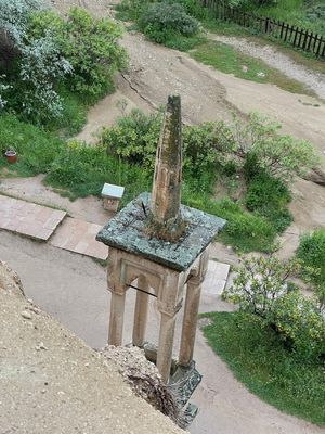 IMG_1443.jpg