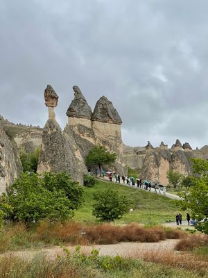 IMG_1464.jpg
