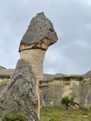 IMG_1466.jpg