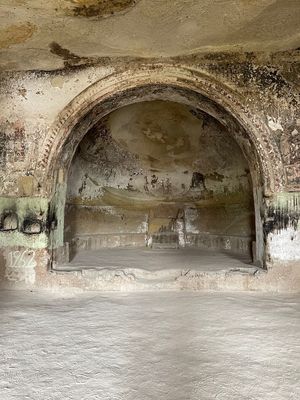 IMG_1547.jpg