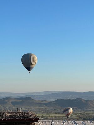 IMG_1788.jpg
