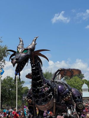 IMG_2375.jpg