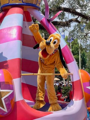 IMG_2386.jpg