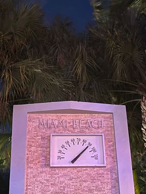 IMG_2594.jpg