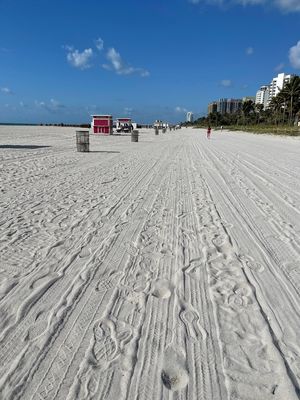 IMG_2623.jpg