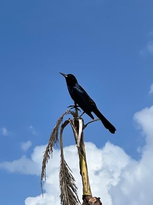 IMG_2714.jpg