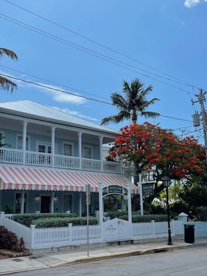 IMG_2784.jpg