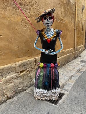 IMG_3668.jpg