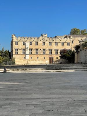IMG_3703.jpg