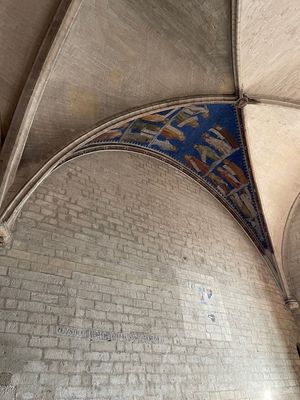 IMG_3717.jpg