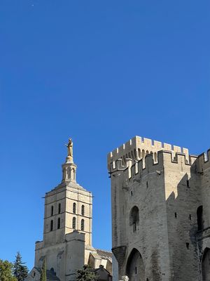 IMG_3719.jpg