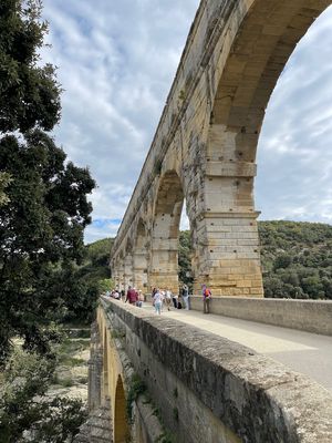 IMG_3766.jpg