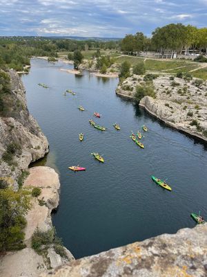 IMG_3769.jpg