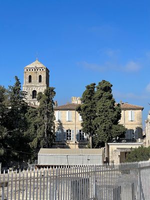 IMG_3799.jpg