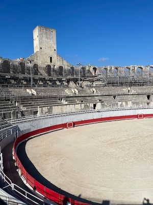 IMG_3807.jpg