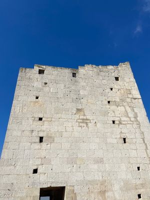IMG_3822.jpg