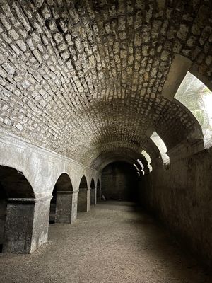 IMG_3847.jpg