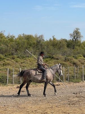 IMG_3898.jpg