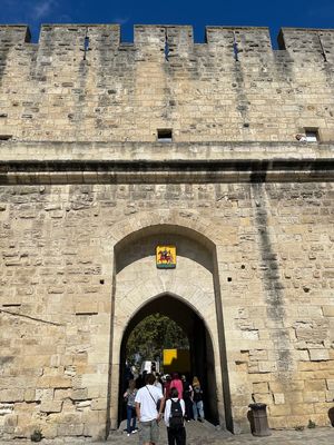 IMG_3947.jpg