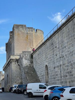 IMG_3949.jpg