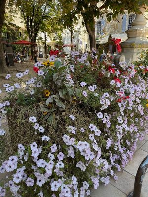 IMG_4063.jpg