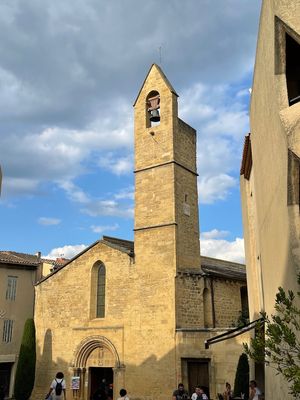 IMG_4079.jpg
