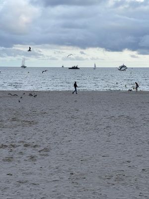 IMG_4166.jpg