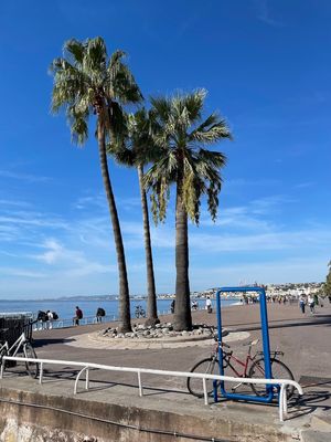 IMG_4331.jpg