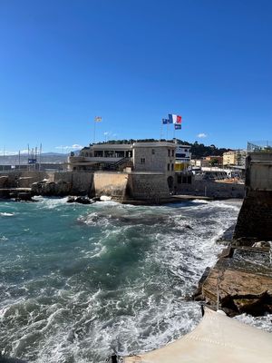 IMG_4595.jpg